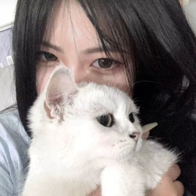 无双乱世手游下载