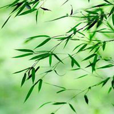 巅峰战舰bt版下载